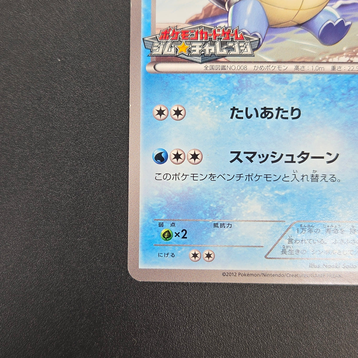 Wartortle 166/BW-P Promos Gym Challenge pack Pokemon Card