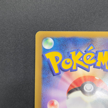 Wartortle 166/BW-P Promos Gym Challenge pack Pokemon Card