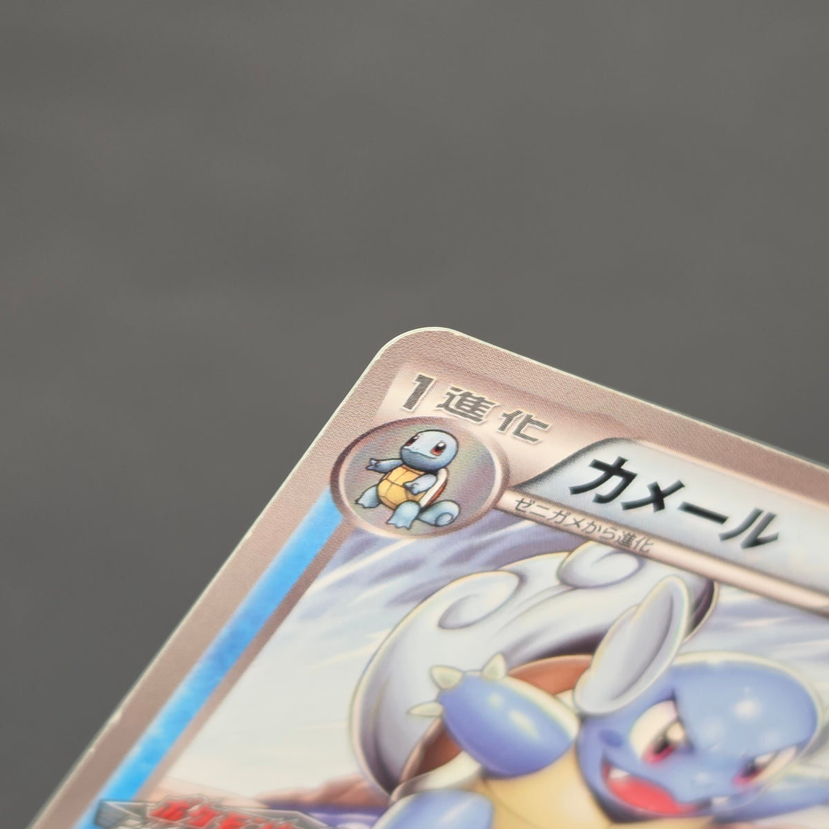 Wartortle 166/BW-P Promos Gym Challenge pack Pokemon Card