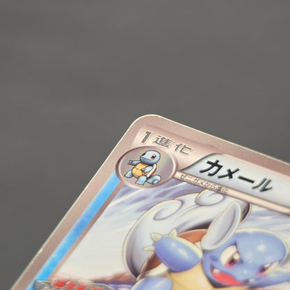 Wartortle 166/BW-P Promos Gym Challenge pack Pokemon Card