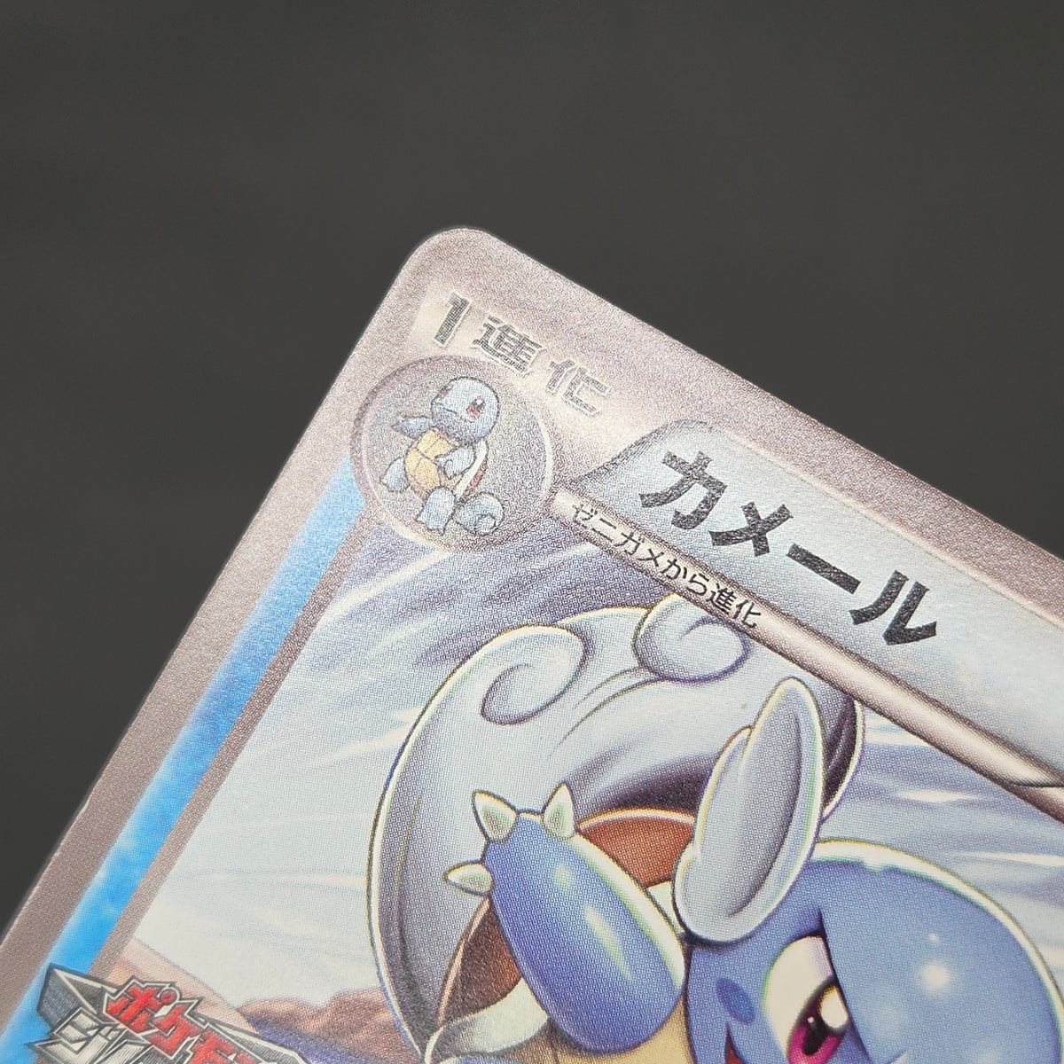 Wartortle 166/BW-P Promos Gym Challenge pack Pokemon Card