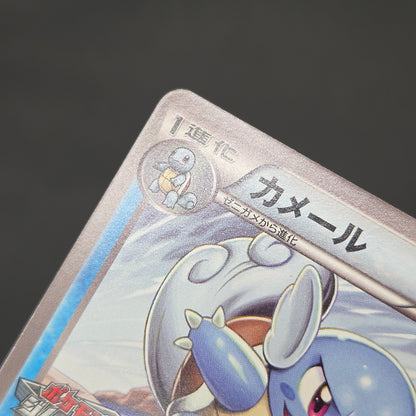 Wartortle 166/BW-P Promos Gym Challenge pack Pokemon Card