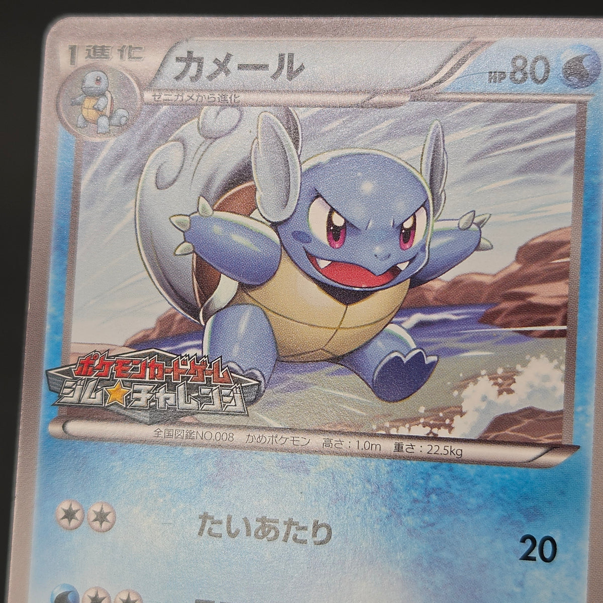 Wartortle 166/BW-P Promos Gym Challenge pack Pokemon Card