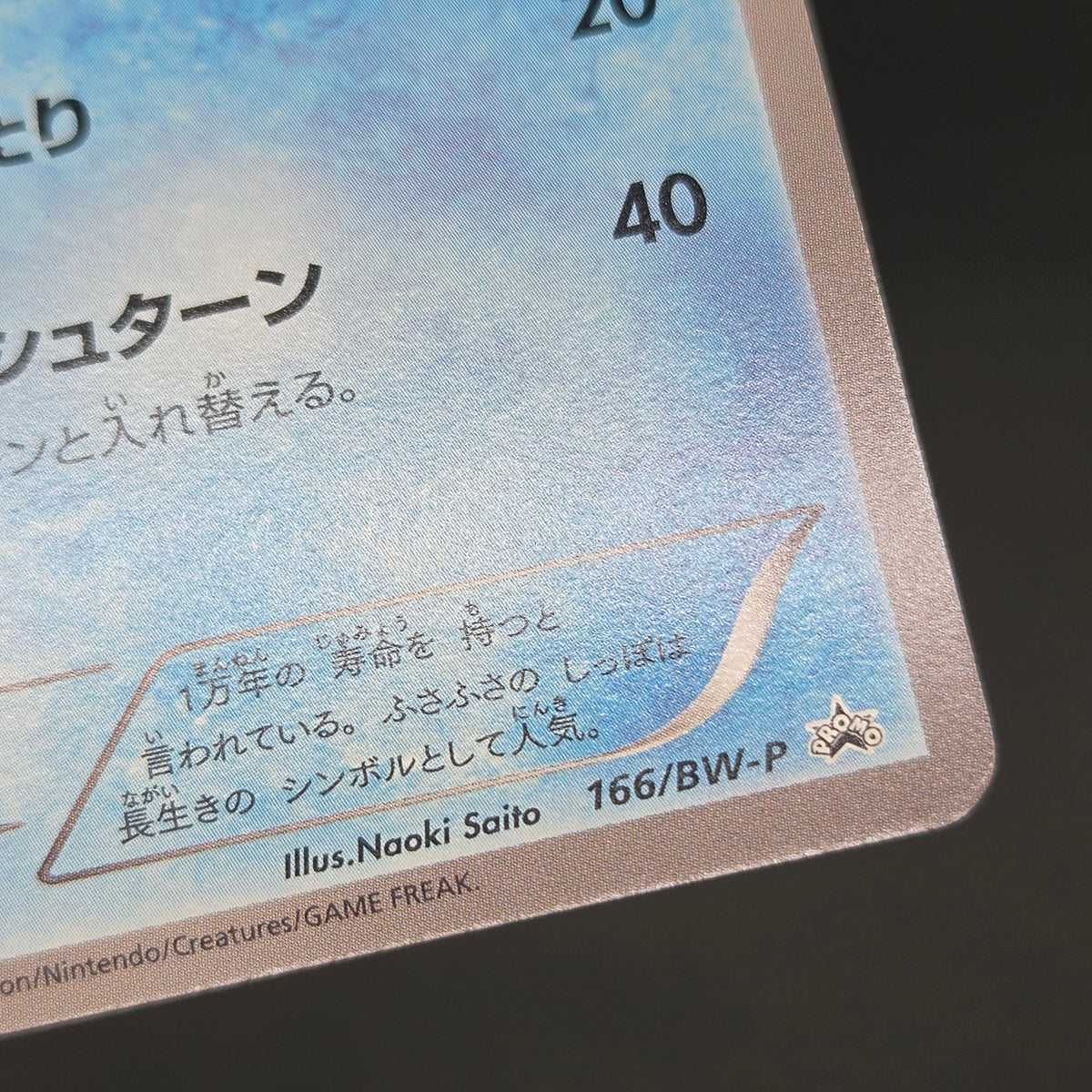 Wartortle 166/BW-P Promos Gym Challenge pack Pokemon Card