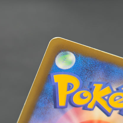 Wartortle 166/BW-P Promos Gym Challenge pack Pokemon Card