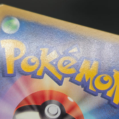 Wartortle 166/BW-P Promos Gym Challenge pack Pokemon Card