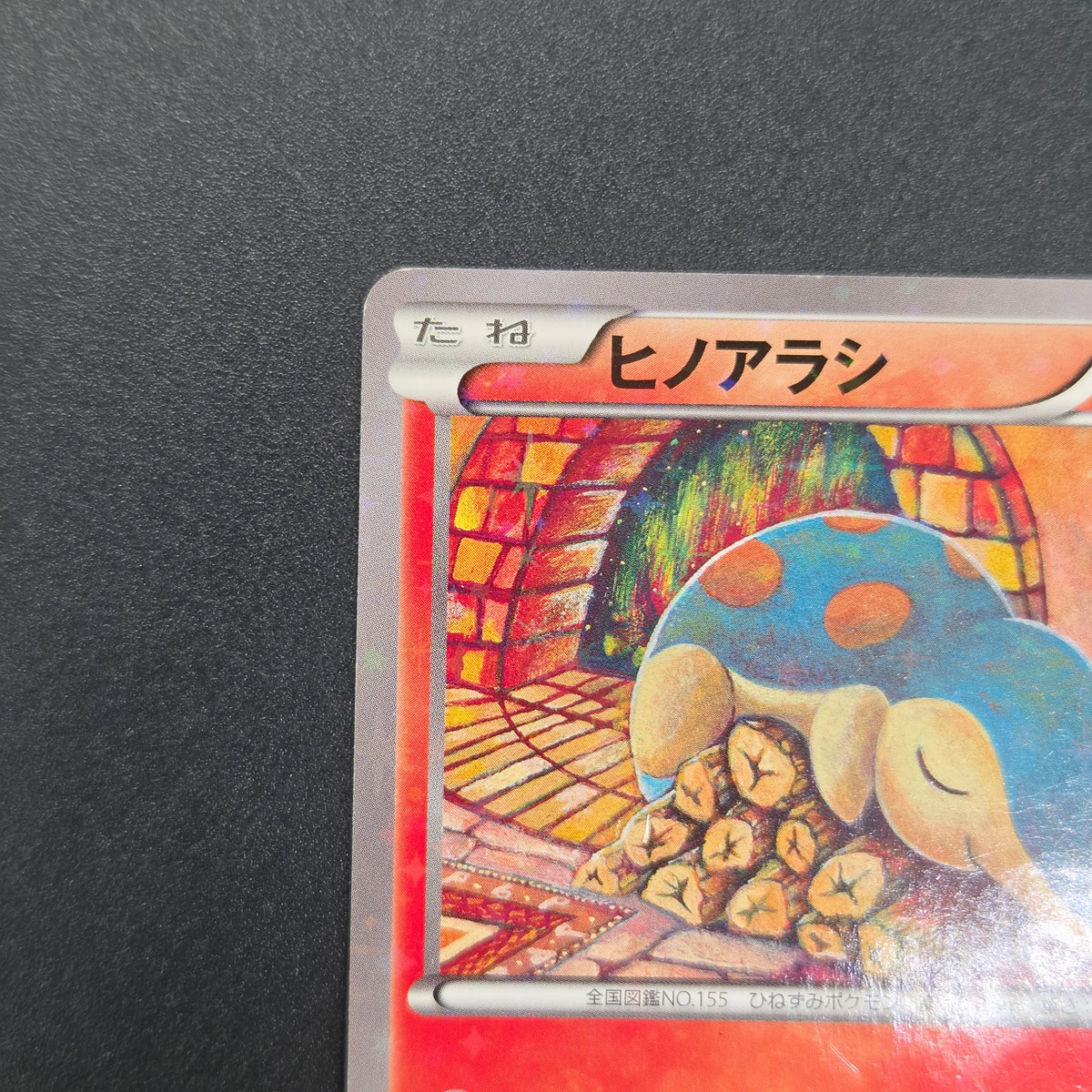 Cyndaquil 223/XY-P Ho-Oh/Lugia Special Set Pokemon Card