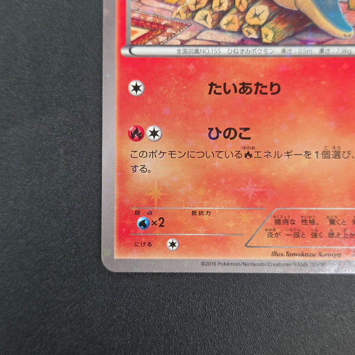 Cyndaquil 223/XY-P Ho-Oh/Lugia Special Set Pokemon Card