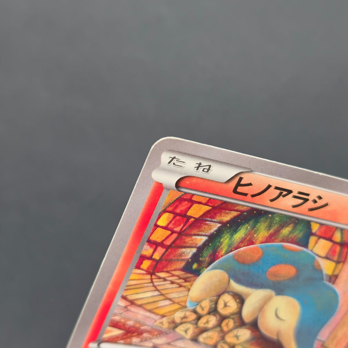 Cyndaquil 223/XY-P Ho-Oh/Lugia Special Set Pokemon Card