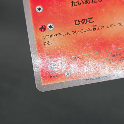 Cyndaquil 223/XY-P Ho-Oh/Lugia Special Set Pokemon Card