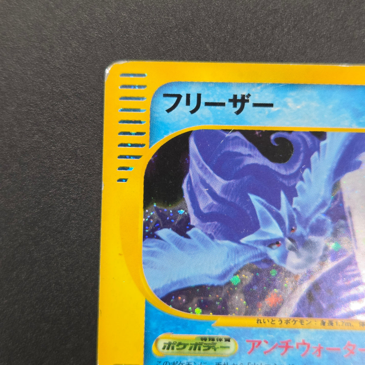 Articuno 031/088 Holo Skyridge e Japanese Pokémon Card
