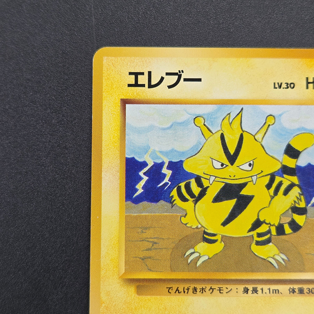 Electabuzz Intro Pack No.125 Bulbasaur Deck Pokémon Card