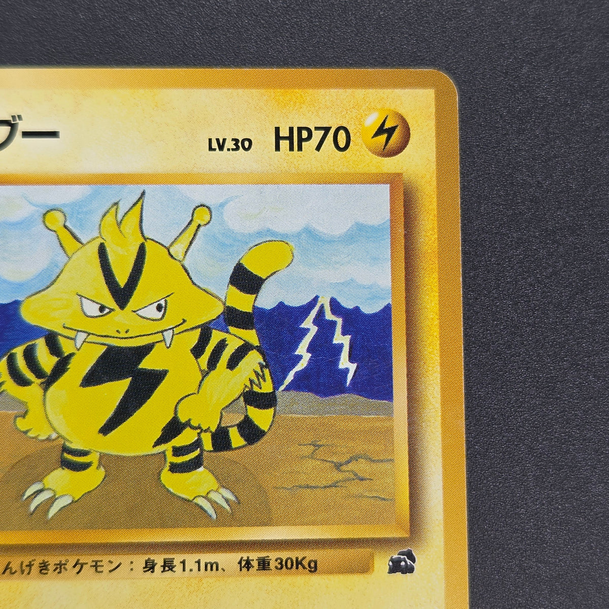 Electabuzz Intro Pack No.125 Bulbasaur Deck Pokémon Card
