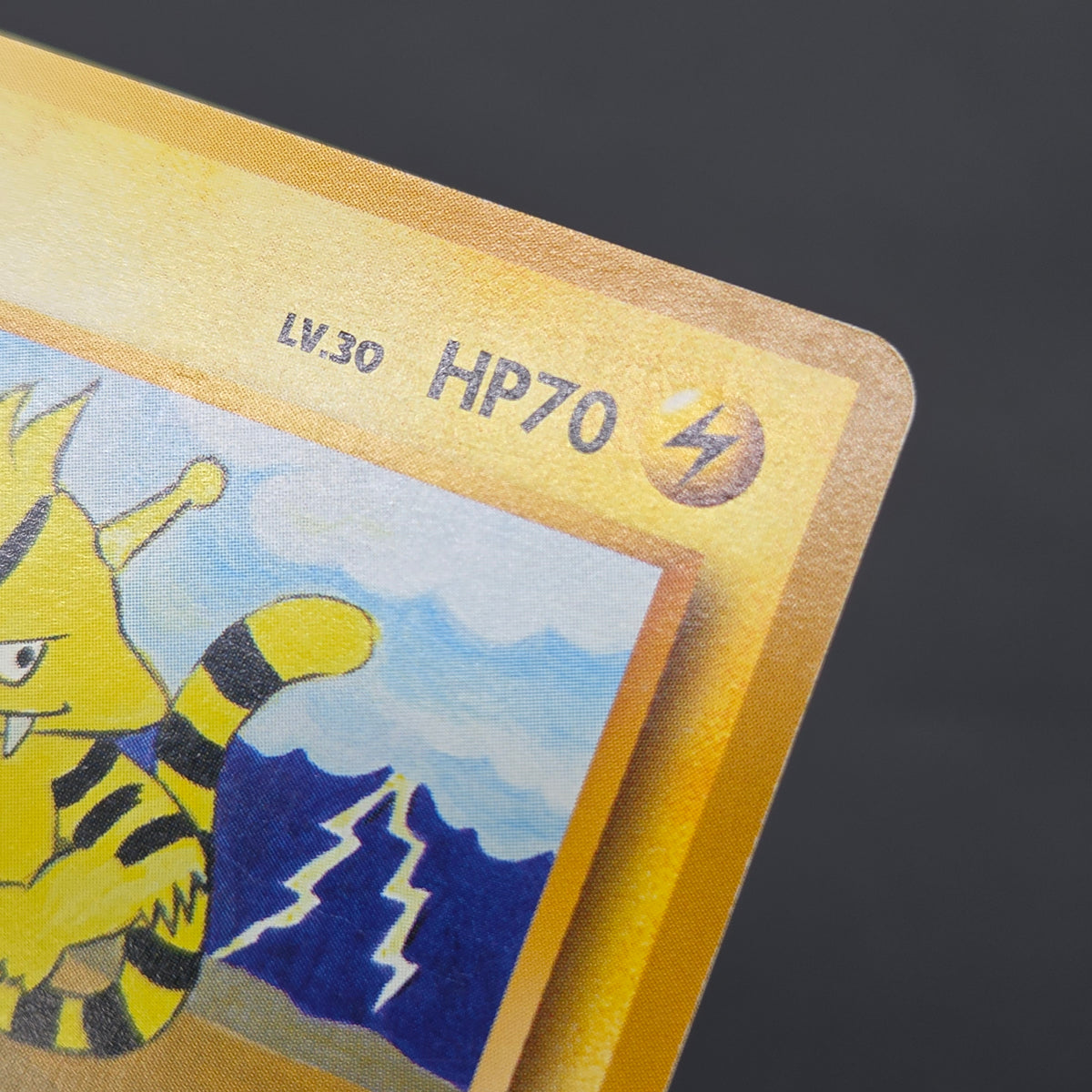 Electabuzz Intro Pack No.125 Bulbasaur Deck Pokémon Card