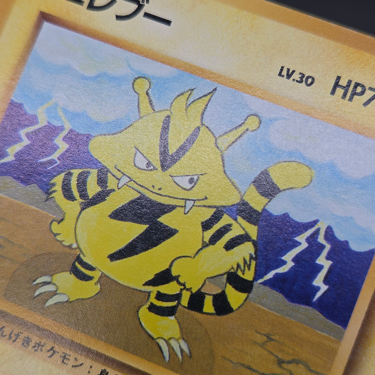 Electabuzz Intro Pack No.125 Bulbasaur Deck Pokémon Card