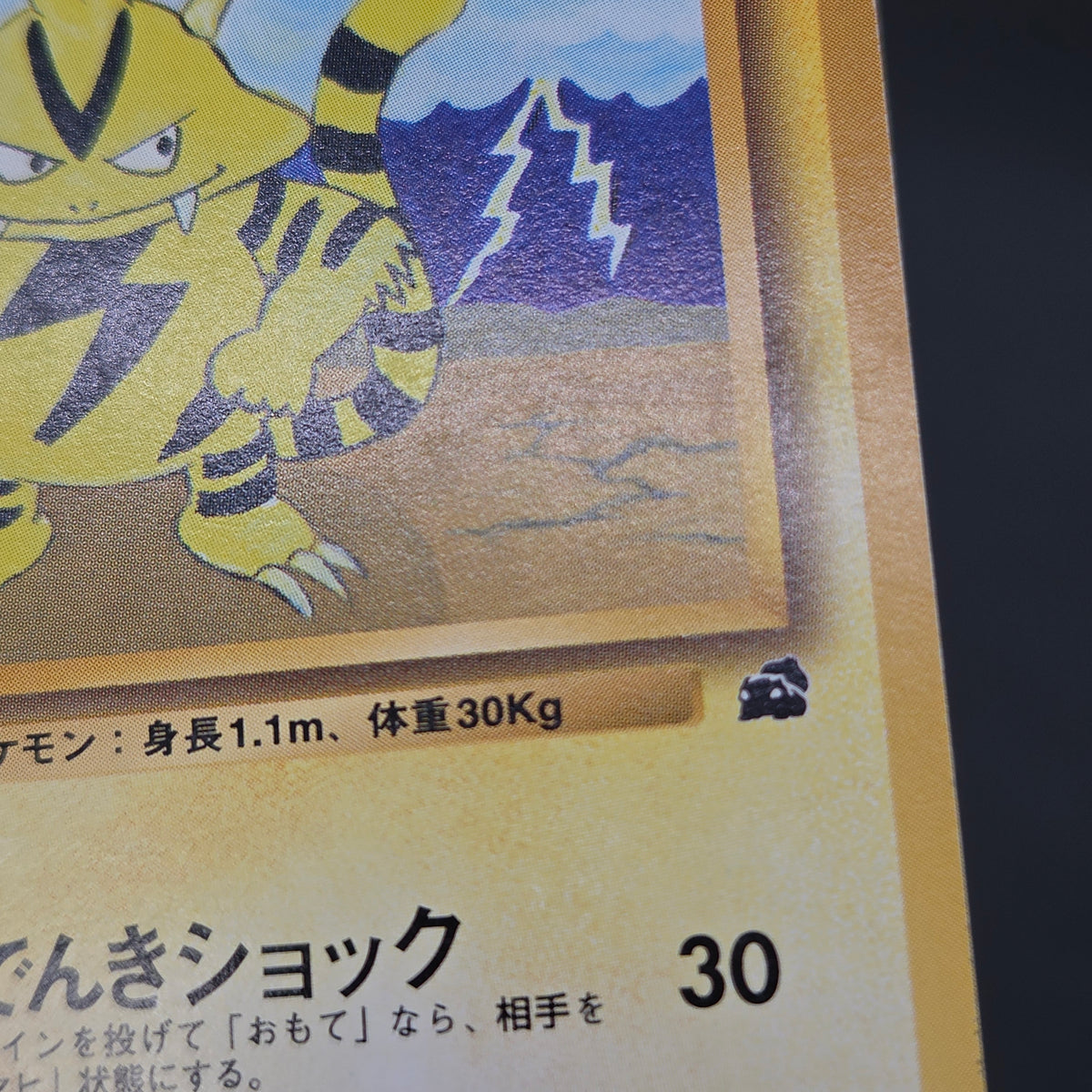 Electabuzz Intro Pack No.125 Bulbasaur Deck Pokémon Card