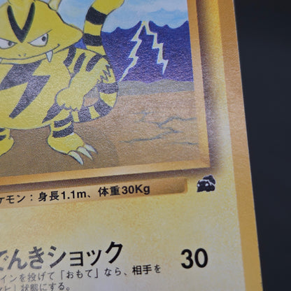 Electabuzz Intro Pack No.125 Bulbasaur Deck Pokémon Card