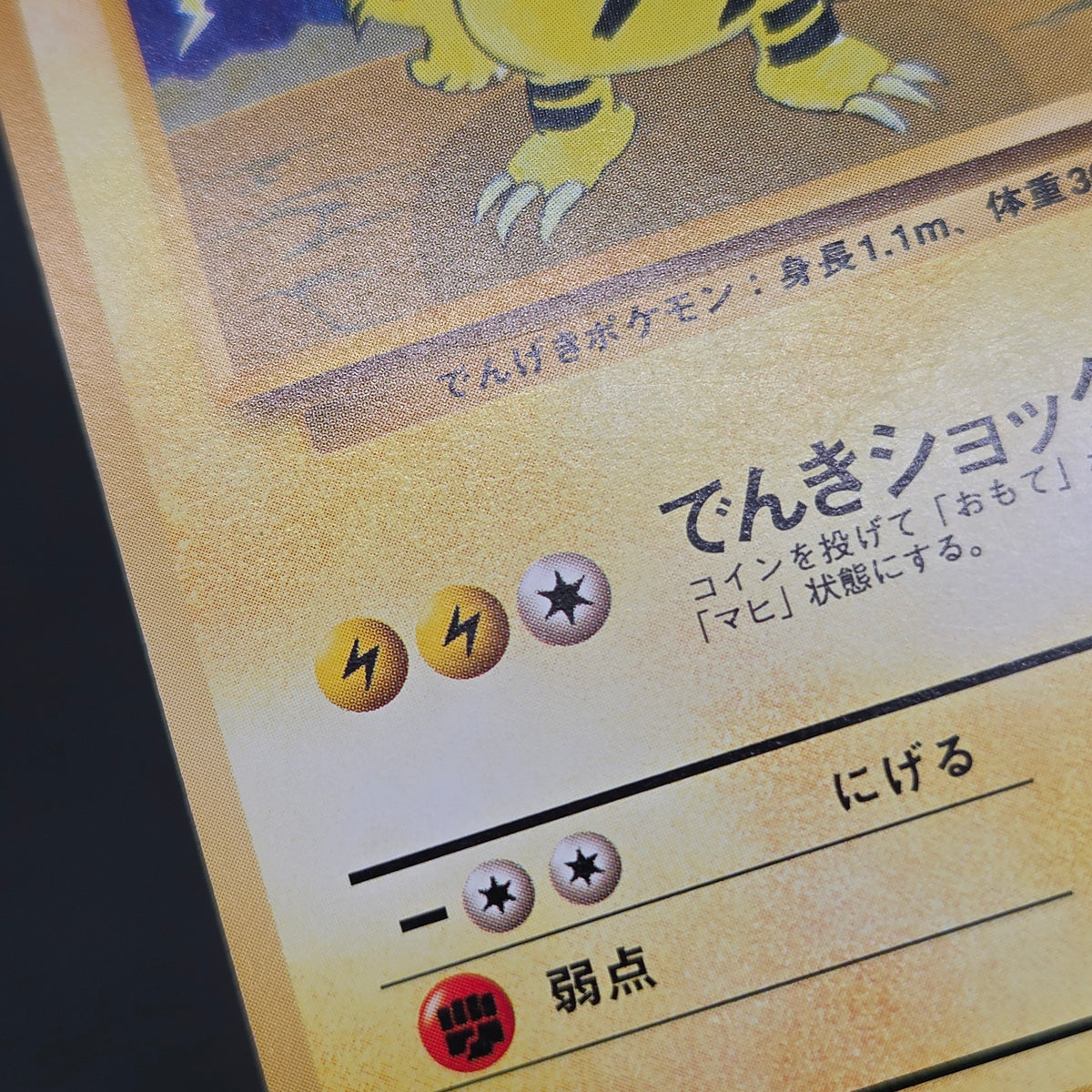 Electabuzz Intro Pack No.125 Bulbasaur Deck Pokémon Card