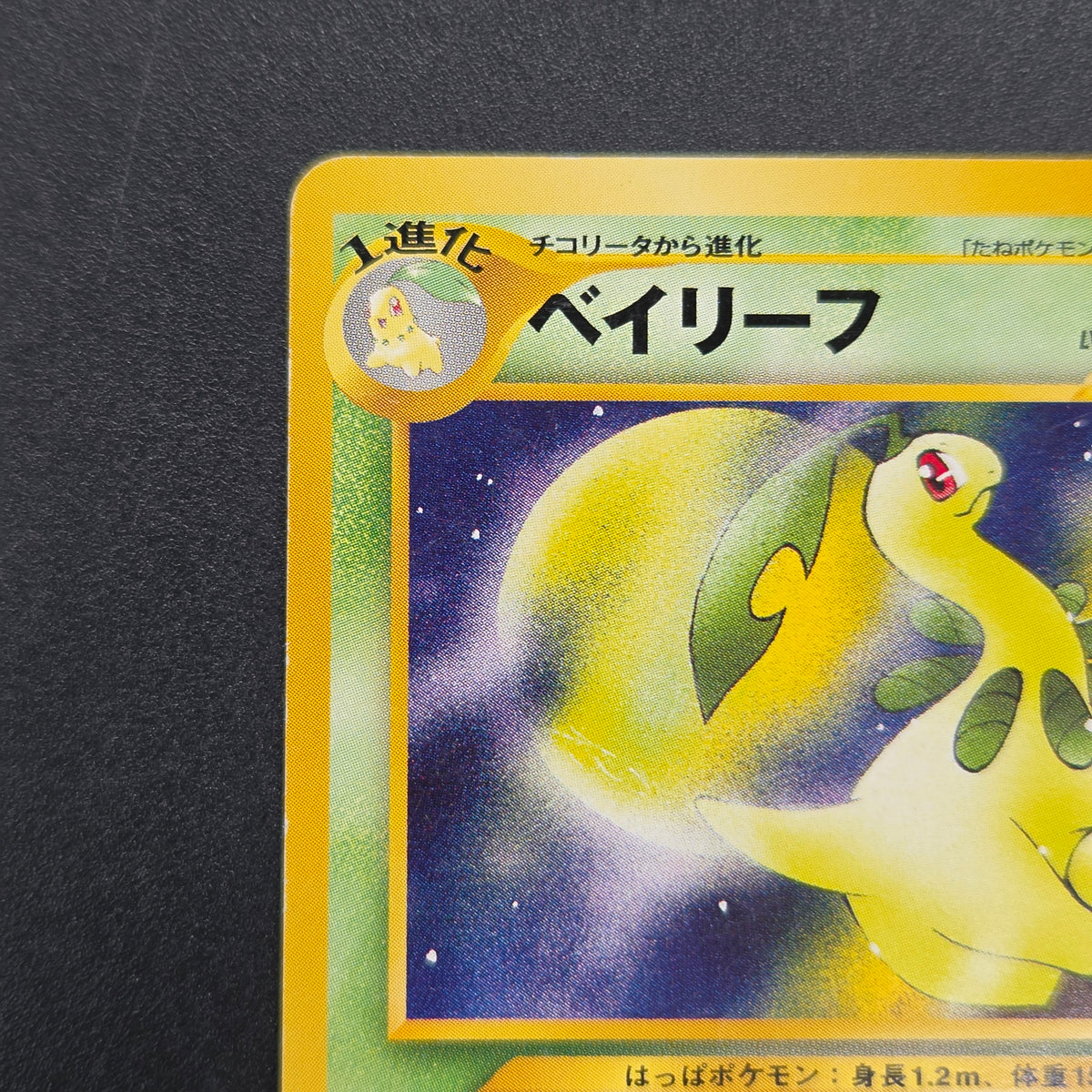 Bayleef No. 153 Intro Pack Chikorita Deck Pokémon Card