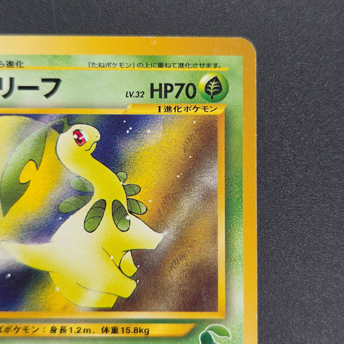 Bayleef No. 153 Intro Pack Chikorita Deck Pokémon Card