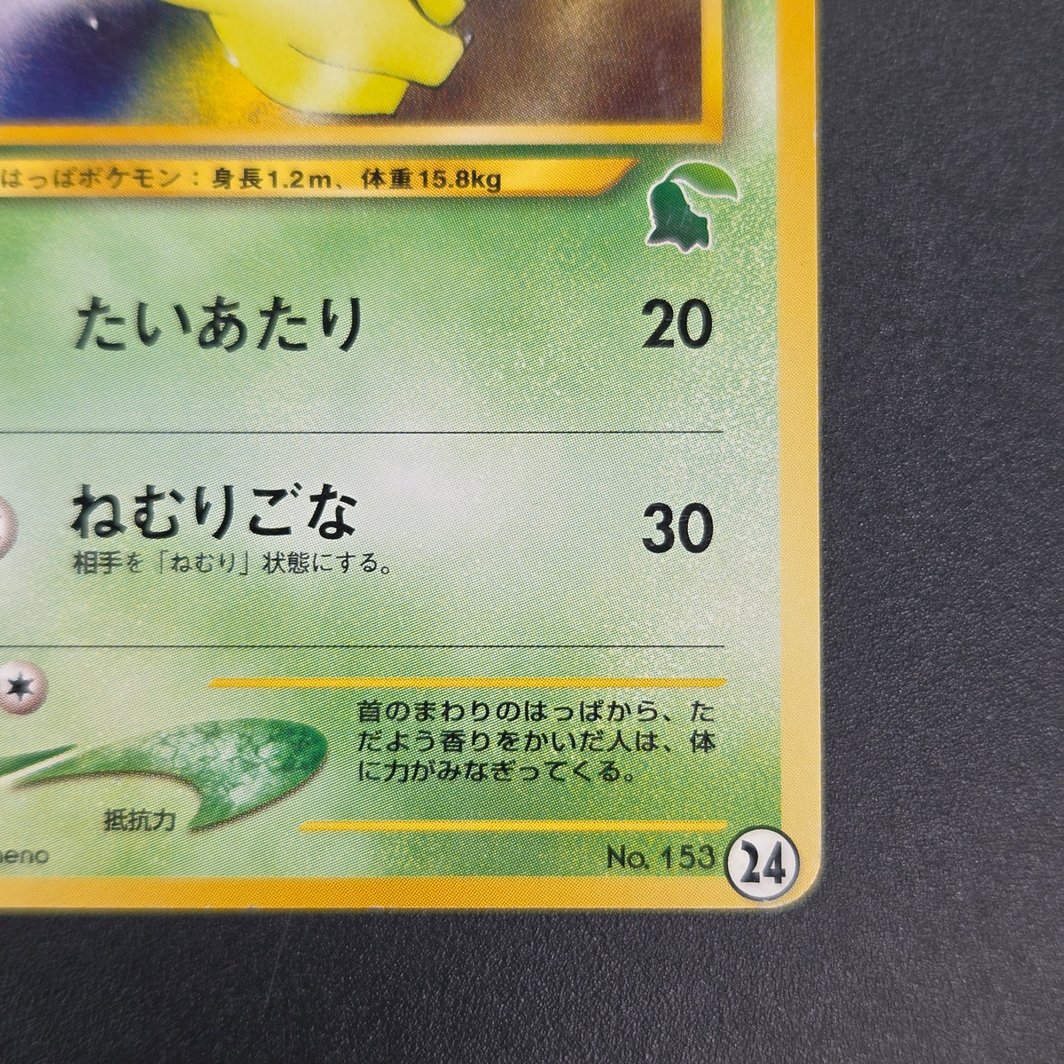 Bayleef No. 153 Intro Pack Chikorita Deck Pokémon Card