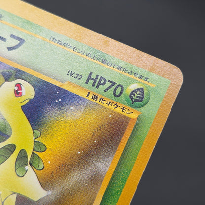 Bayleef No. 153 Intro Pack Chikorita Deck Pokémon Card