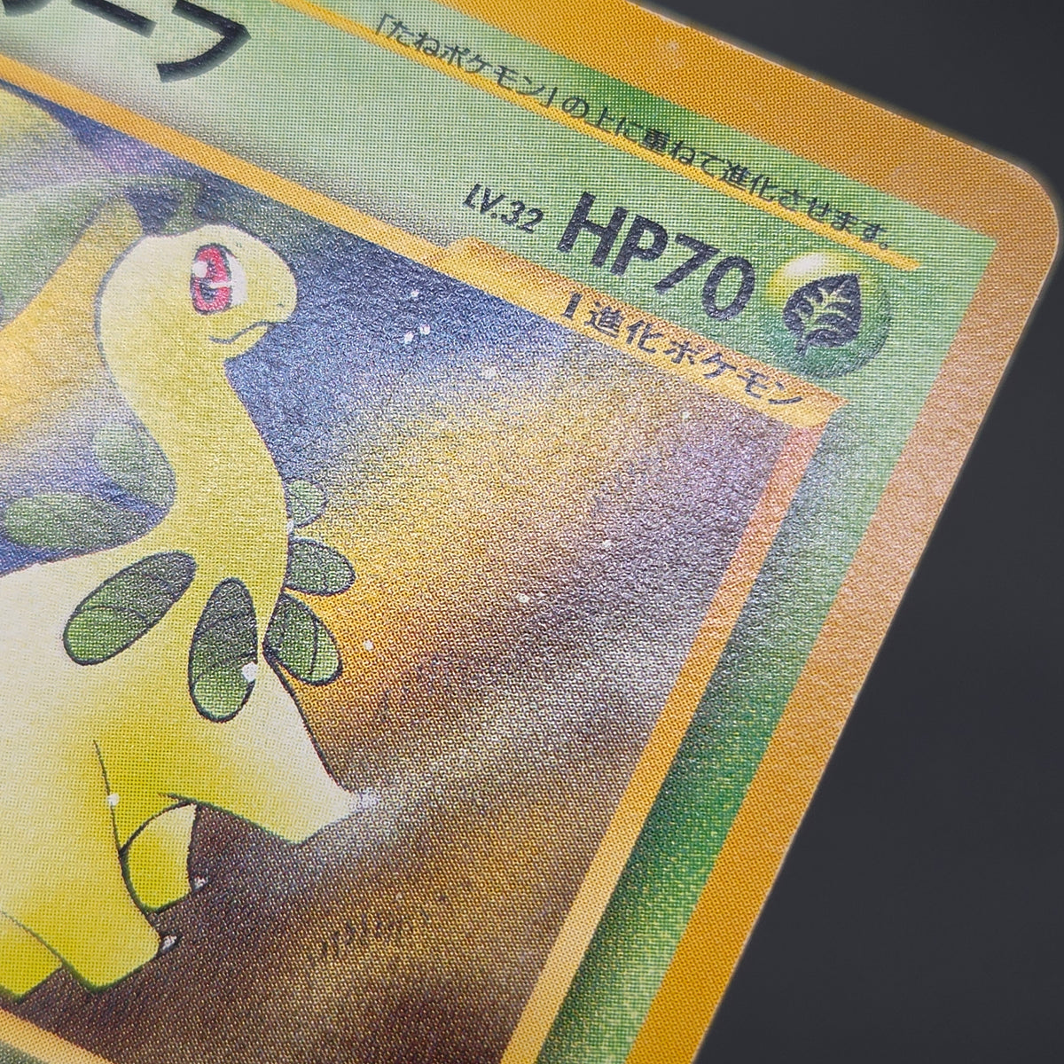 Bayleef No. 153 Intro Pack Chikorita Deck Pokémon Card