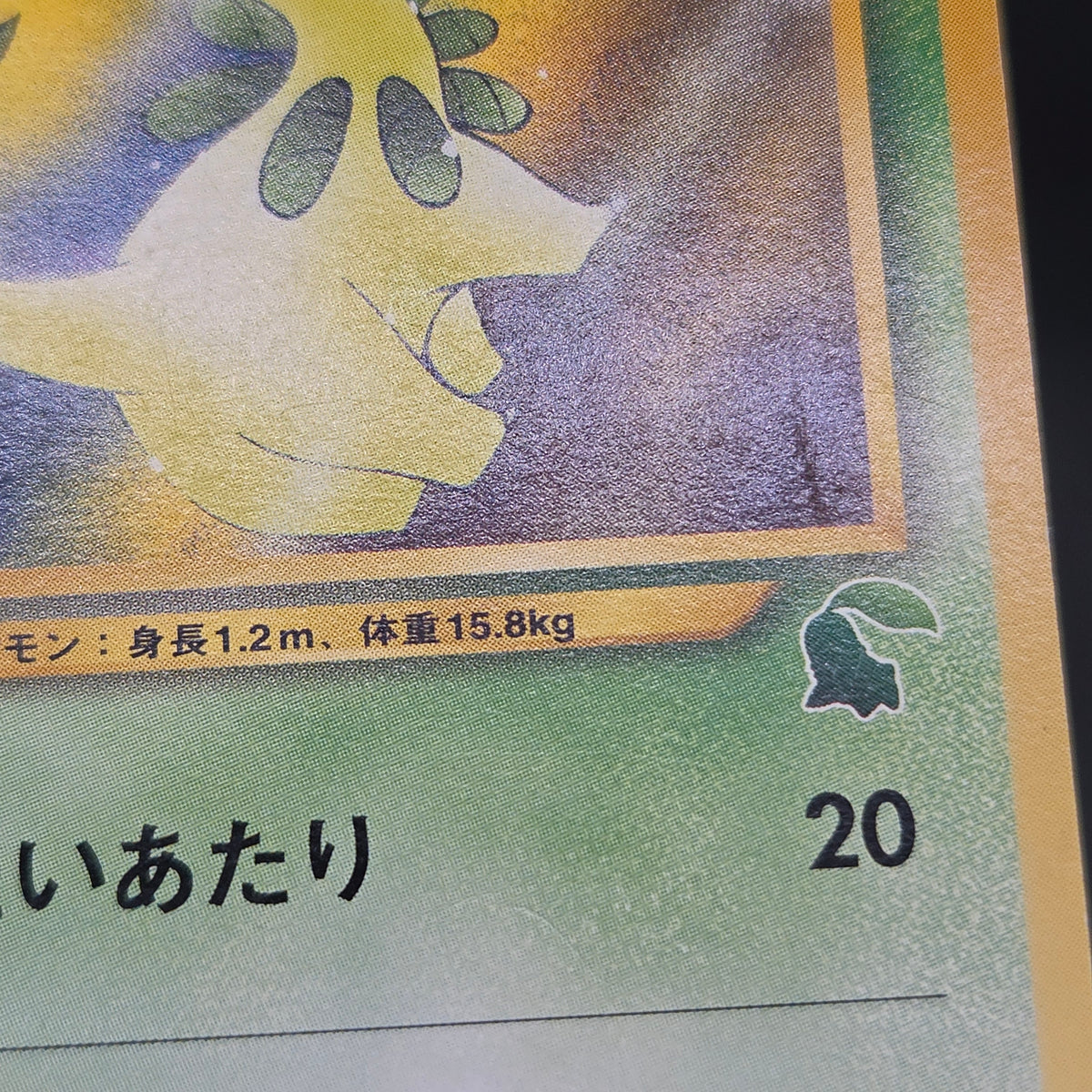 Bayleef No. 153 Intro Pack Chikorita Deck Pokémon Card