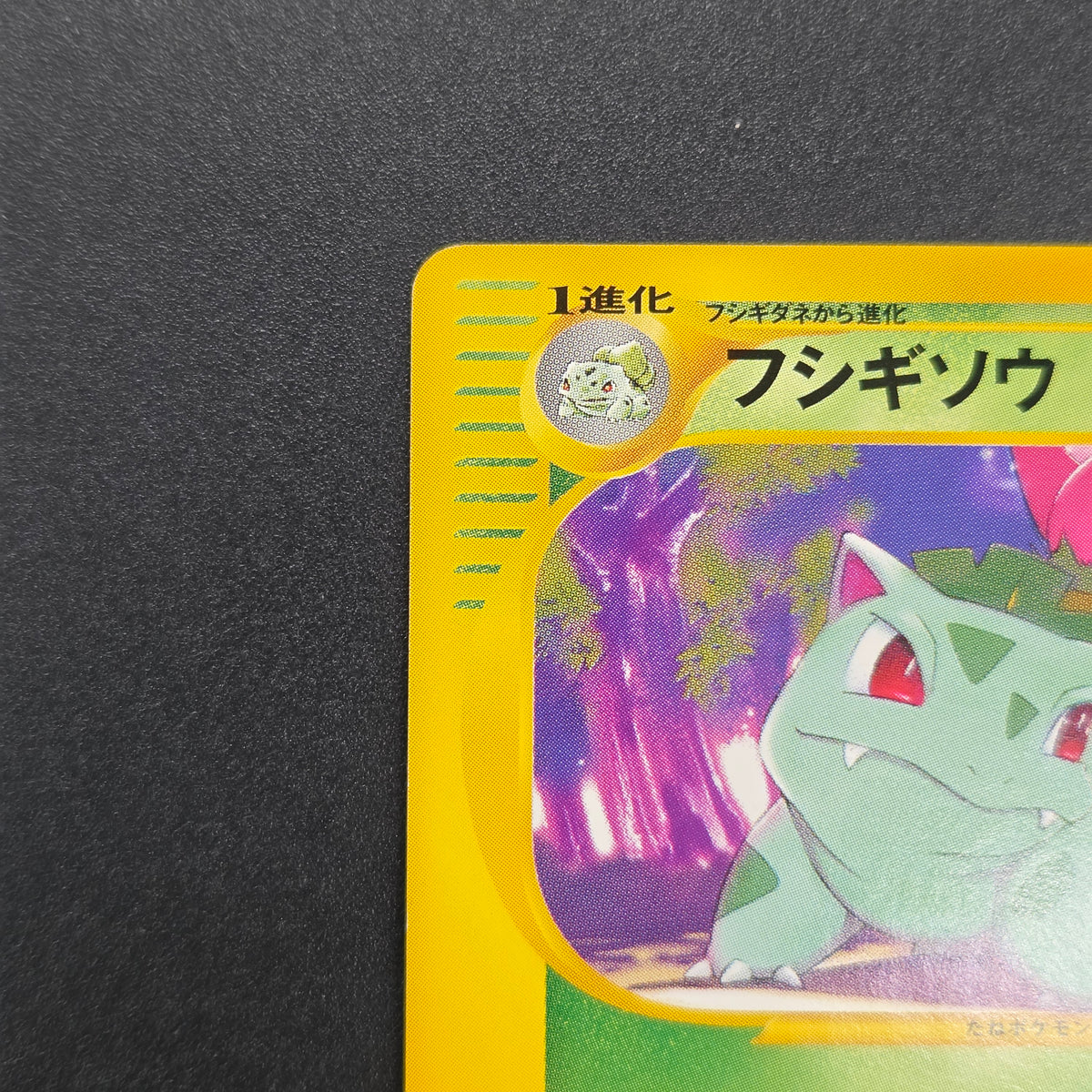 Ivysaur 001/048 Web 1st Ed Japanese Pokemon Card