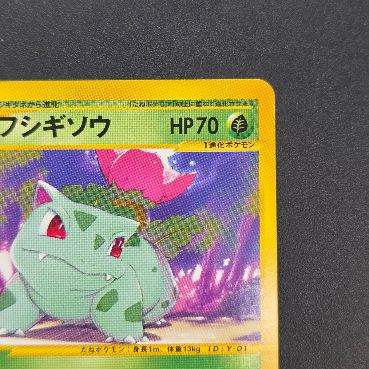 Ivysaur 001/048 Web 1st Ed Japanese Pokemon Card