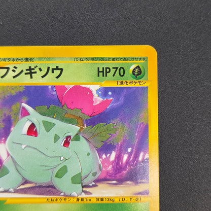Ivysaur 001/048 Web 1st Ed Japanese Pokemon Card