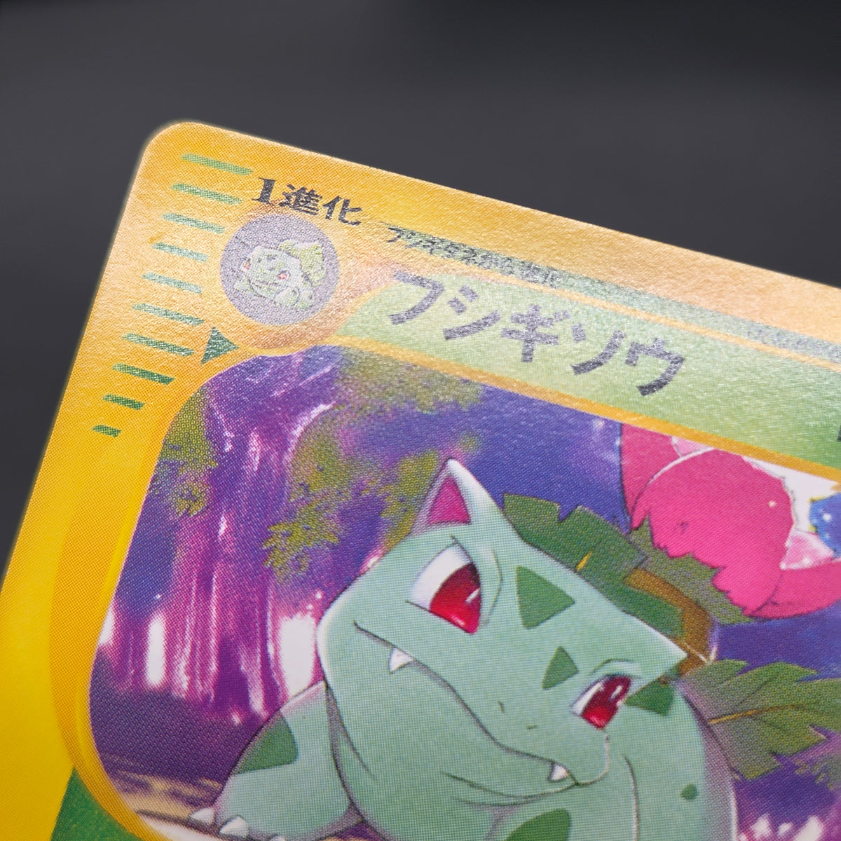 Ivysaur 001/048 Web 1st Ed Japanese Pokemon Card