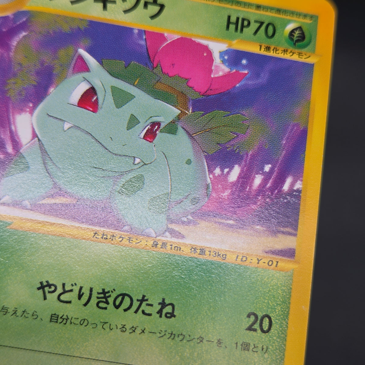Ivysaur 001/048 Web 1st Ed Japanese Pokemon Card