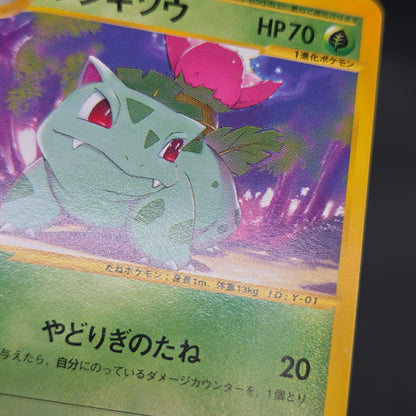 Ivysaur 001/048 Web 1st Ed Japanese Pokemon Card