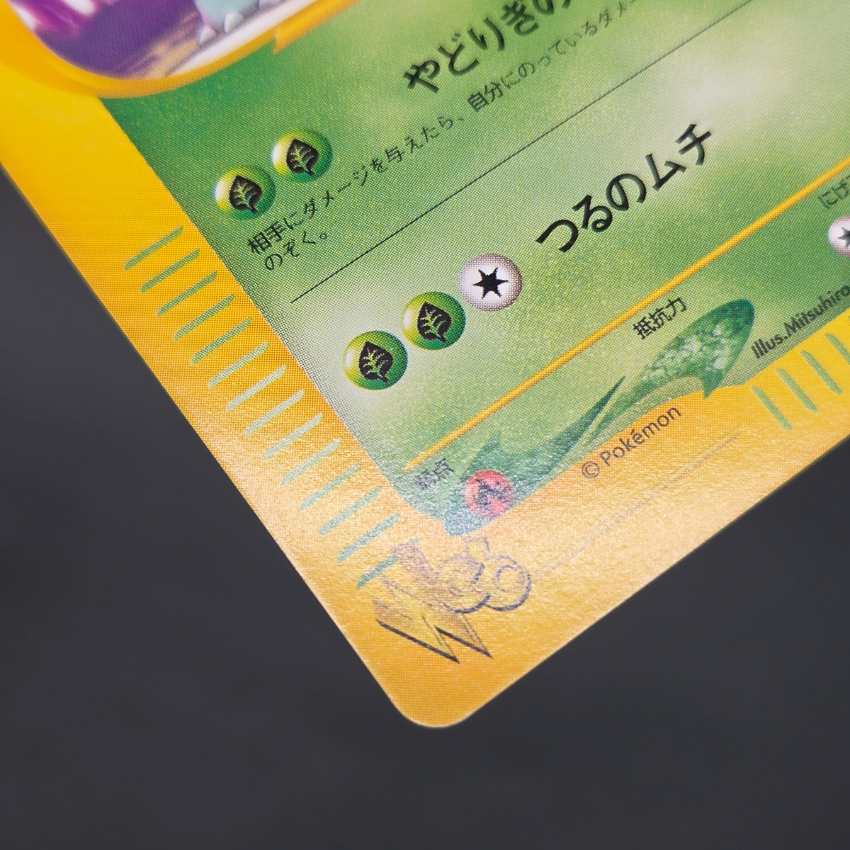 Ivysaur 001/048 Web 1st Ed Japanese Pokemon Card