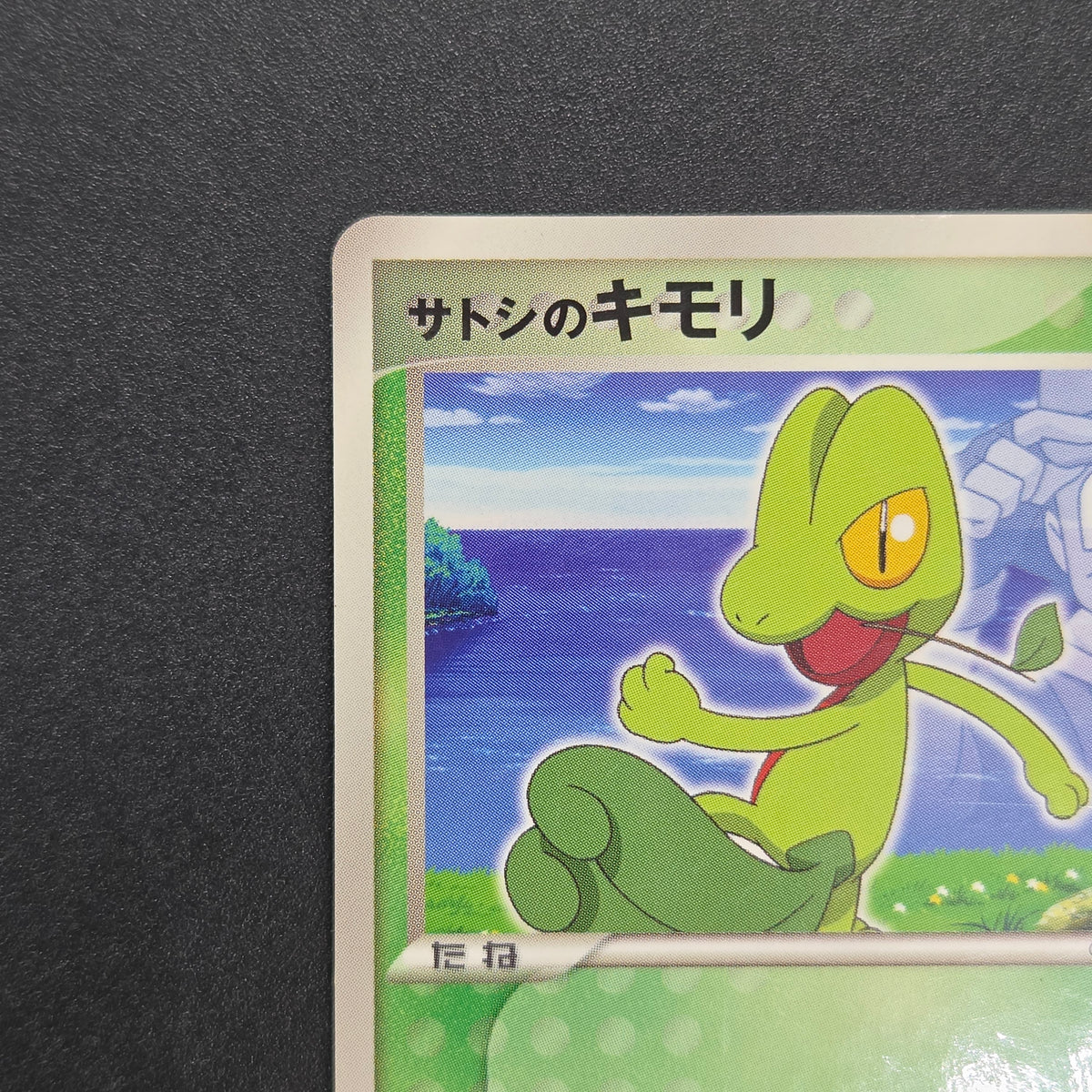 Ash's Treecko 036/ADV-P Shogakukan Promo Pokémon Card
