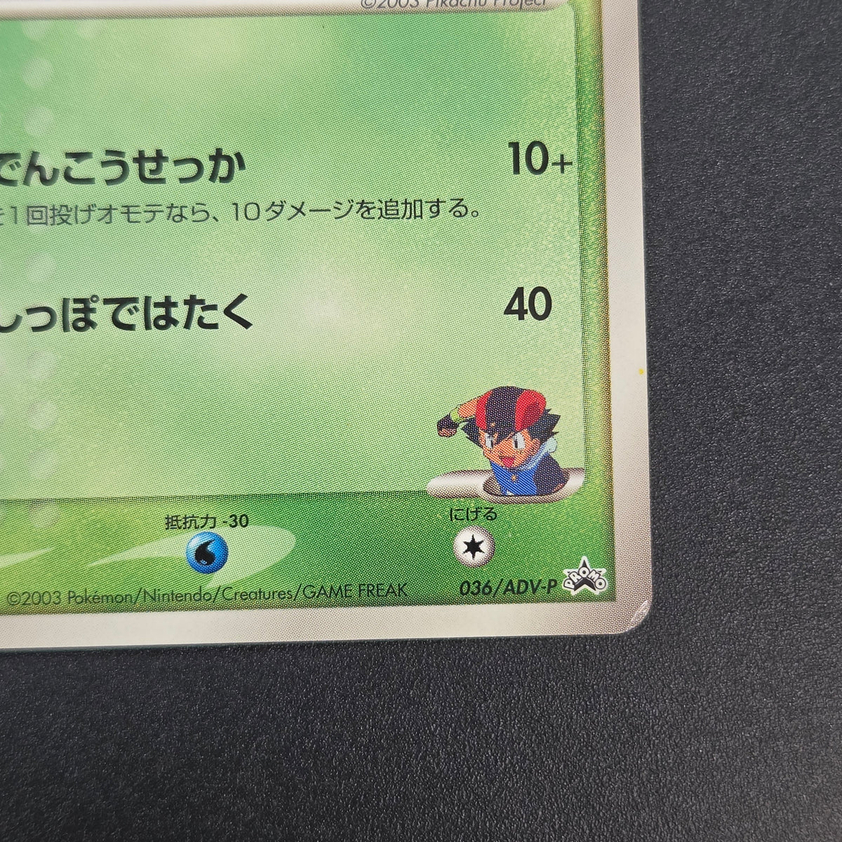 Ash's Treecko 036/ADV-P Shogakukan Promo Pokémon Card