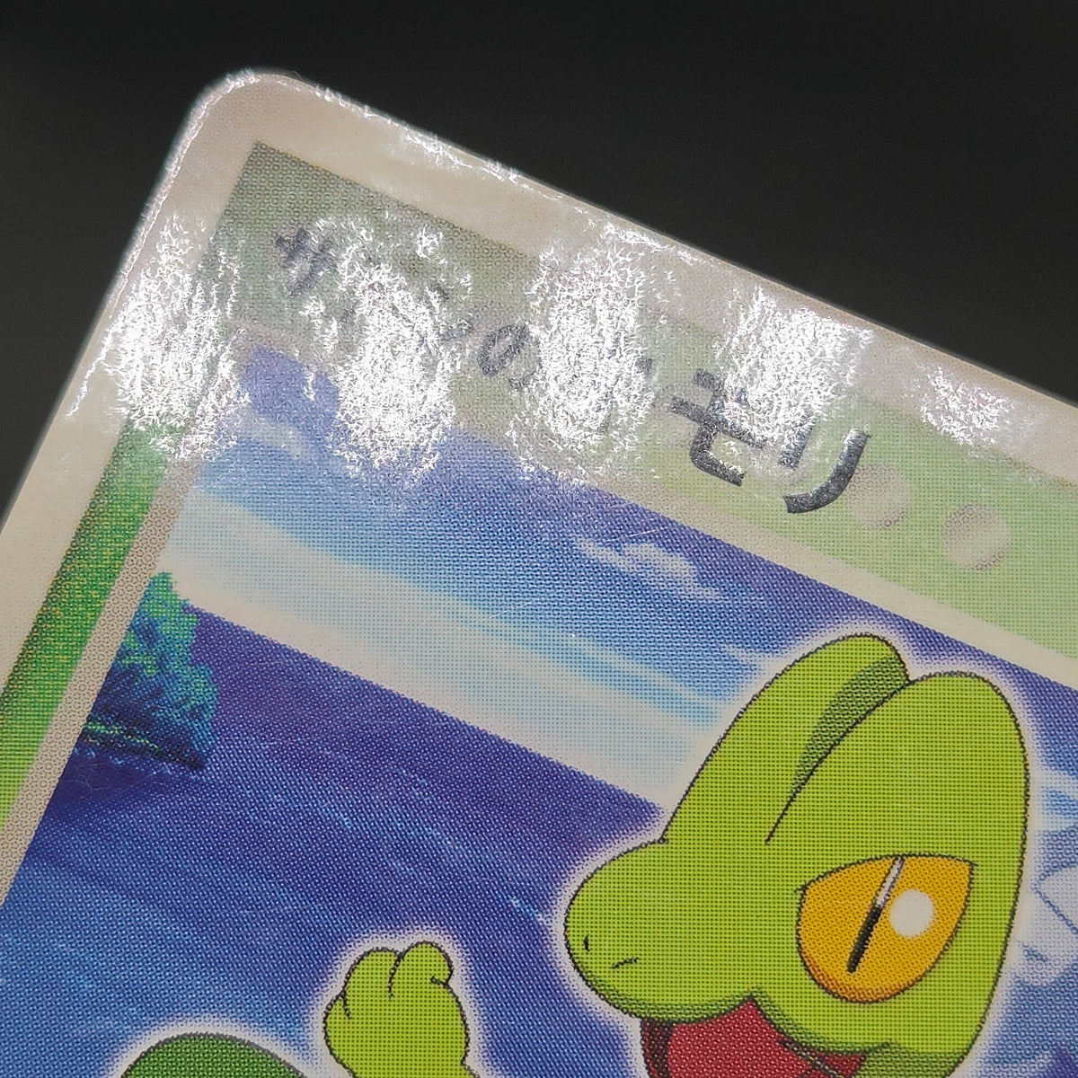 Ash's Treecko 036/ADV-P Shogakukan Promo Pokémon Card