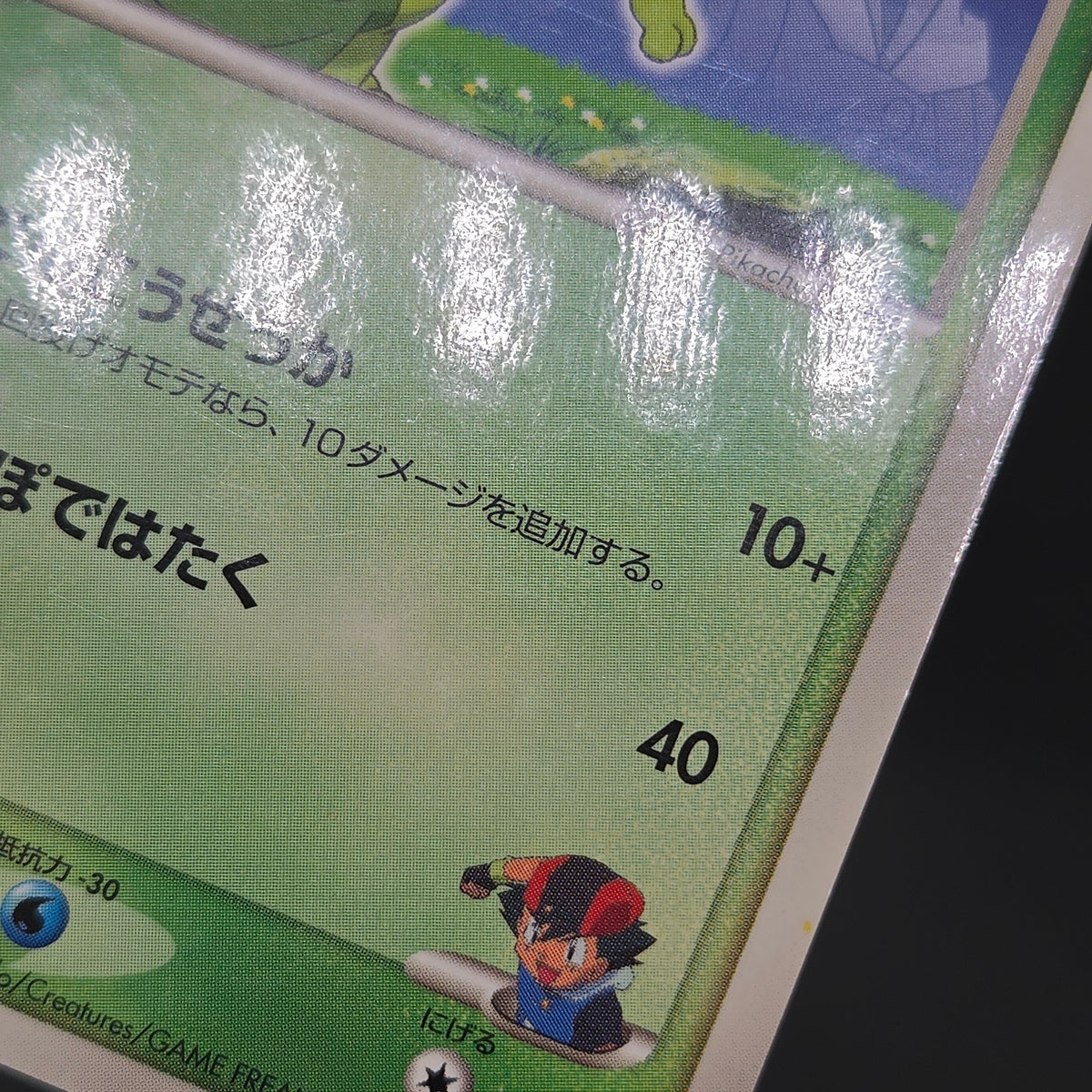 Ash's Treecko 036/ADV-P Shogakukan Promo Pokémon Card
