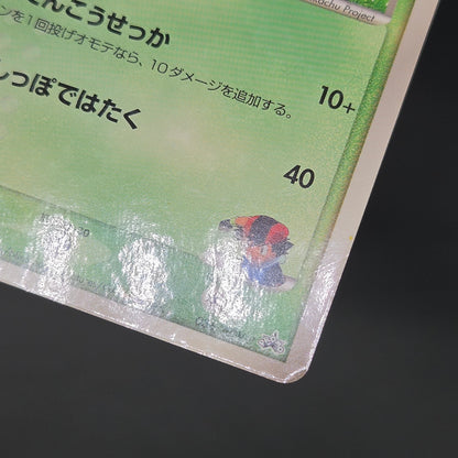 Ash's Treecko 036/ADV-P Shogakukan Promo Pokémon Card