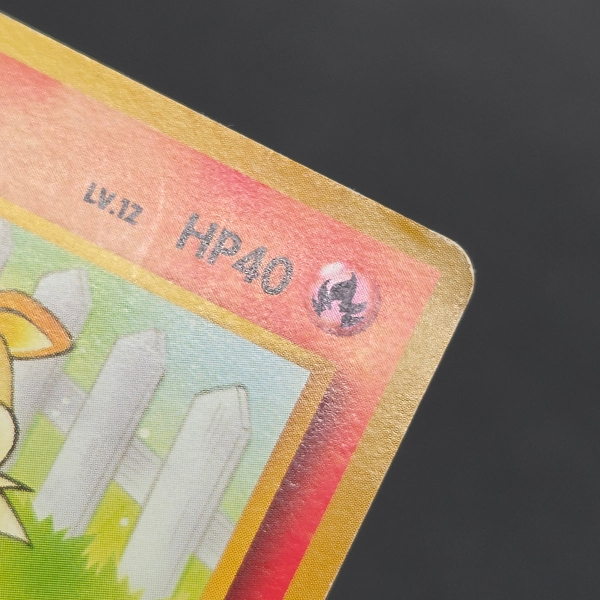 Growlithe Arcanine Intro Pack 2set Squirtle Deck Card