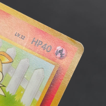 Growlithe Arcanine Intro Pack 2set Squirtle Deck Card