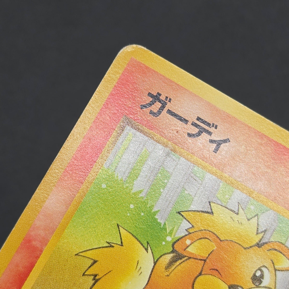 Growlithe Arcanine Intro Pack 2set Squirtle Deck Card