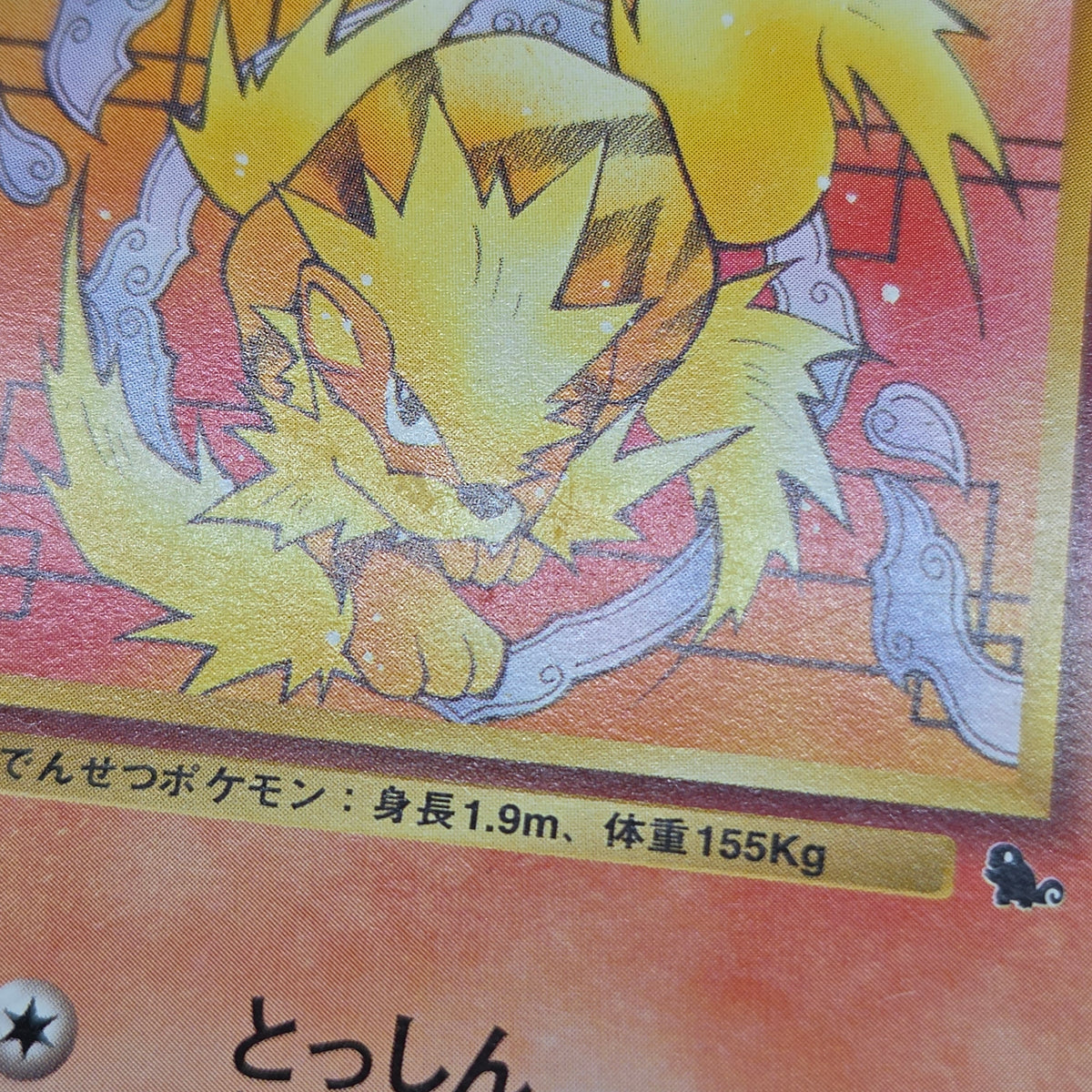 Growlithe Arcanine Intro Pack 2set Squirtle Deck Card