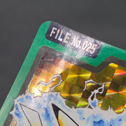 Pikachu File No. 025 Bandai Carddass Prism Pokemon Card