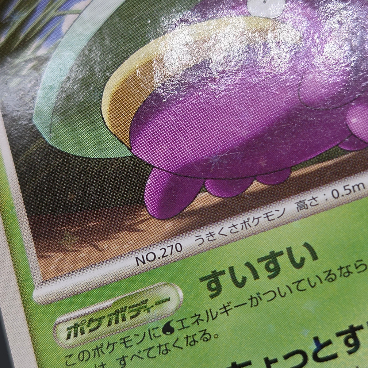 Lotad 006/096 Platinum Galactic's Conquest Pokemon Card