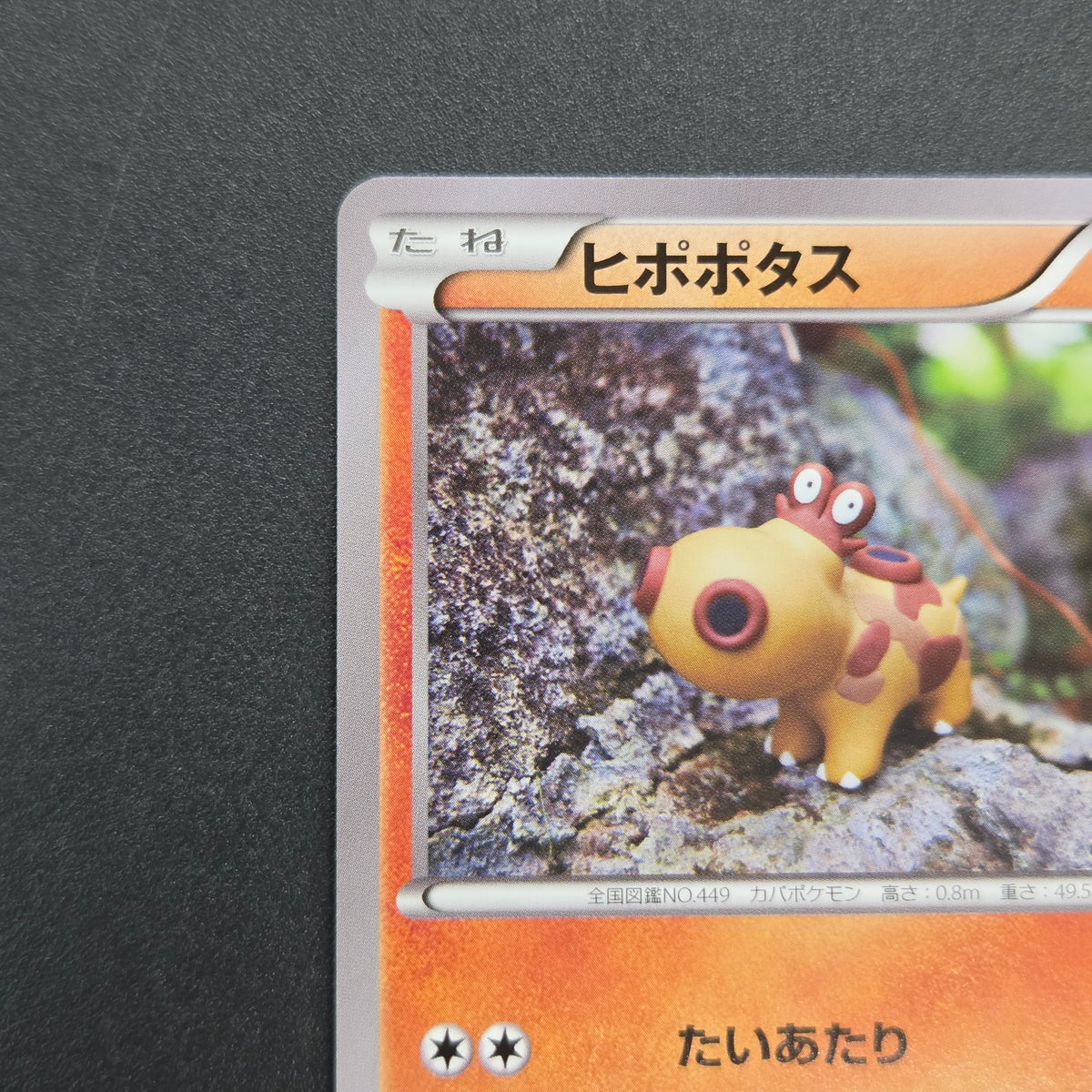 Hippopotas 159/XY-P Promo Center Japanese Pokemon Card