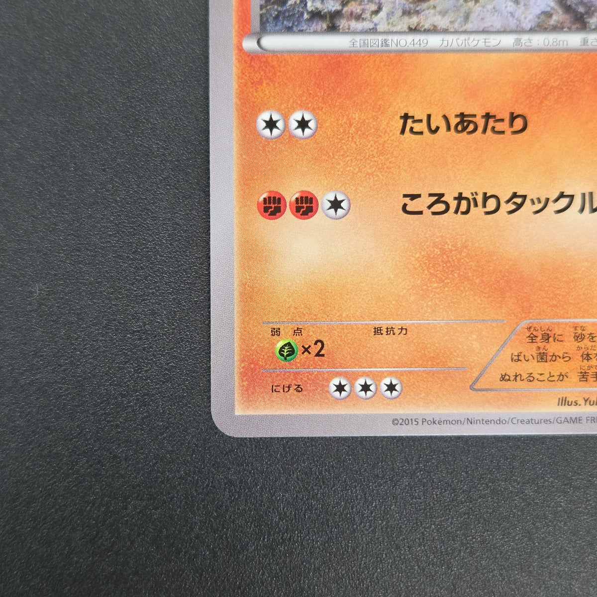 Hippopotas 159/XY-P Promo Center Japanese Pokemon Card