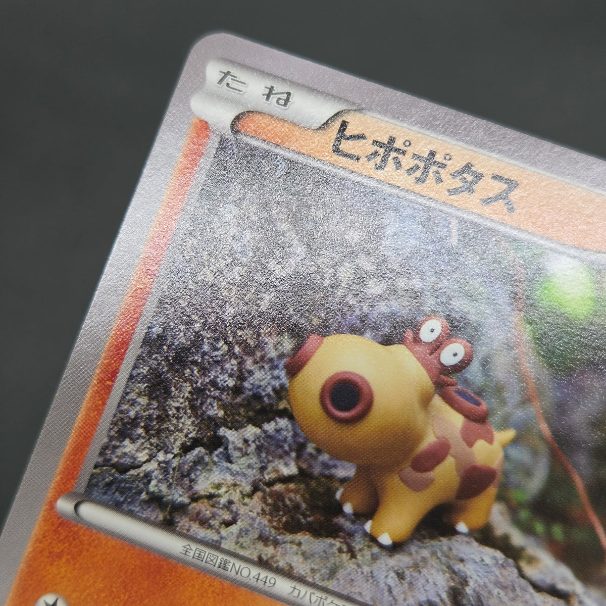Hippopotas 159/XY-P Promo Center Japanese Pokemon Card