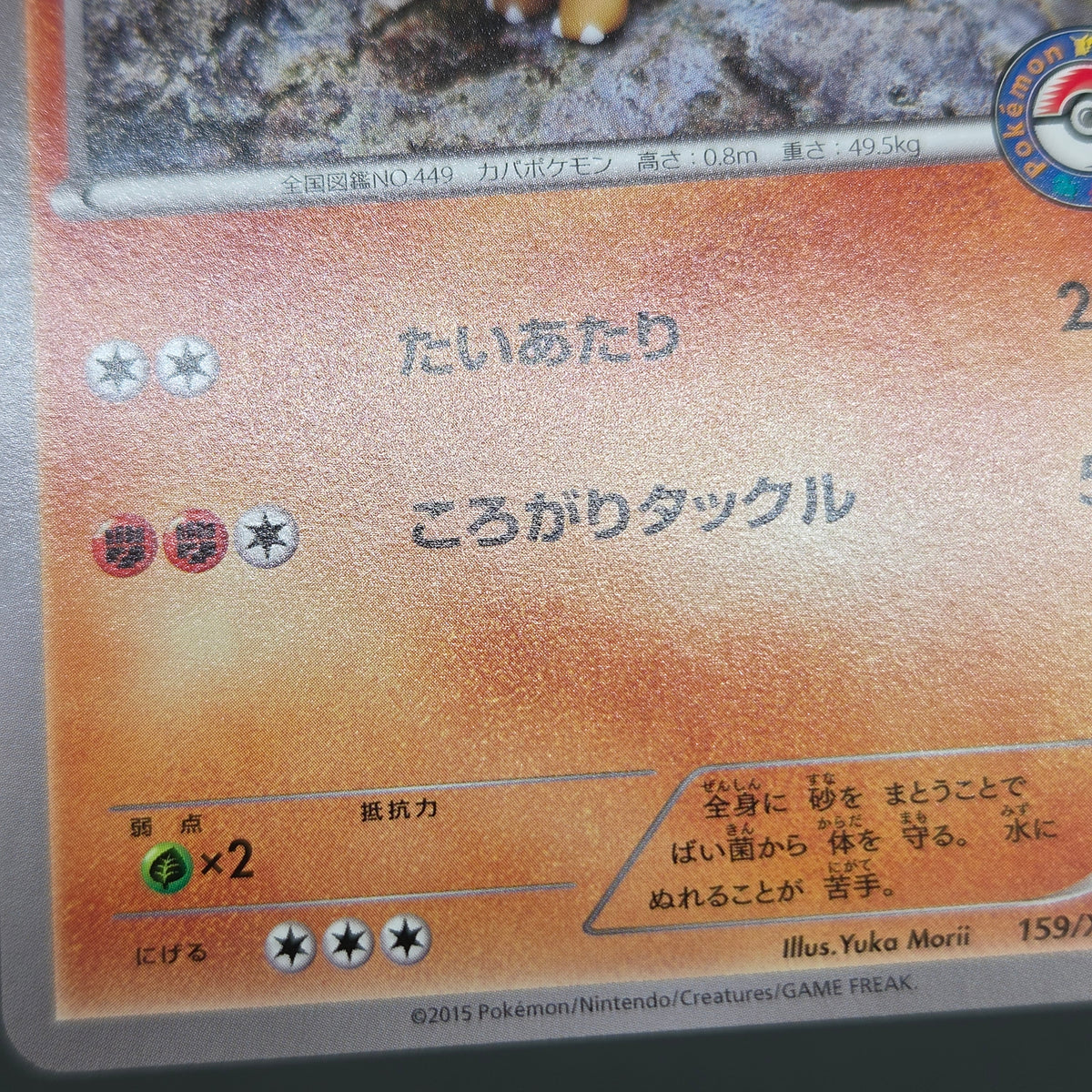 Hippopotas 159/XY-P Promo Center Japanese Pokemon Card